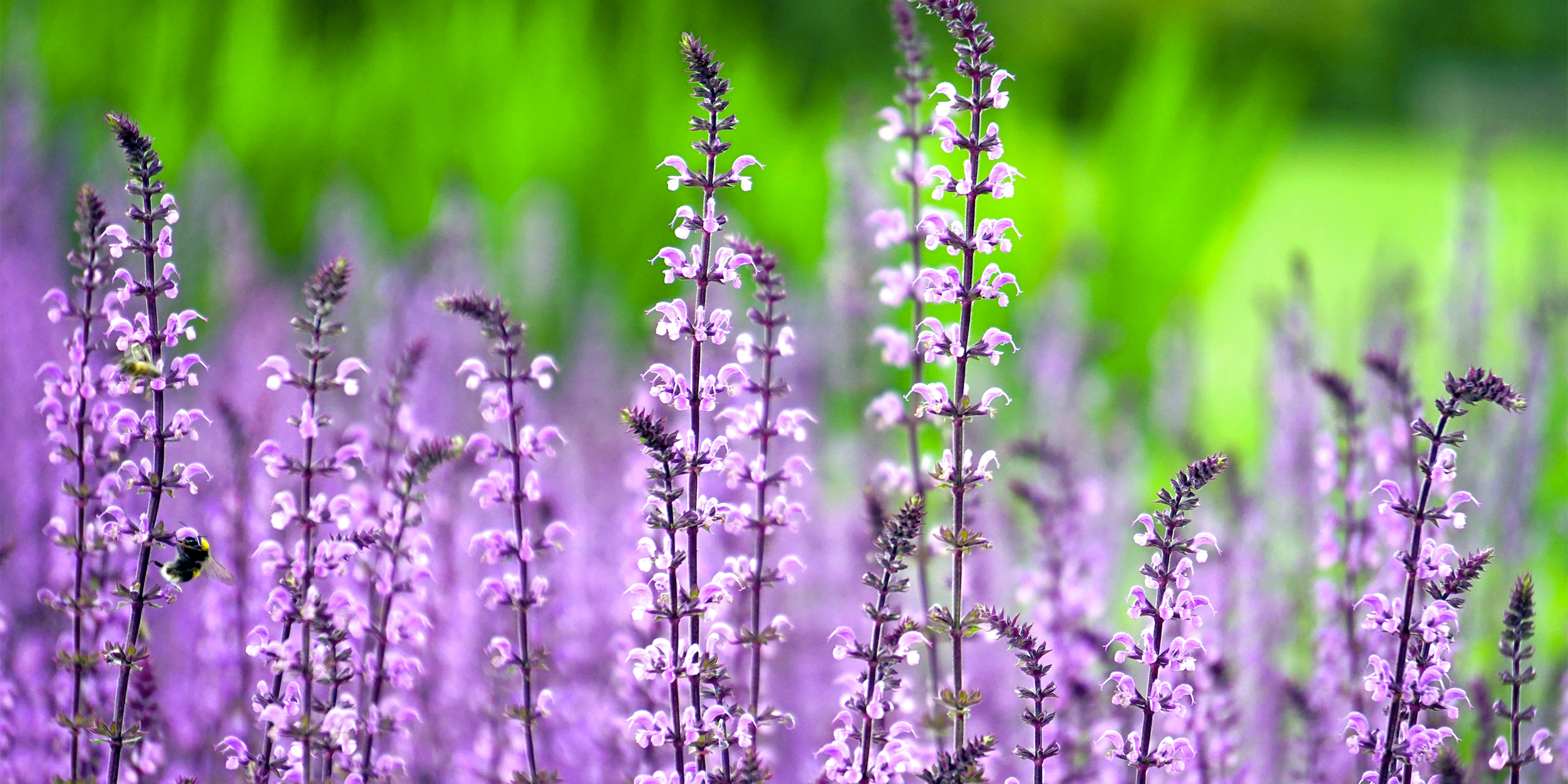 Natürlich und organisch